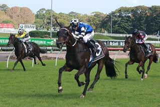 Mongolian Wolf takes the G3 Frank Packer Plate at Randwick. Photo: Equine Images